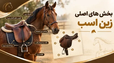 زین