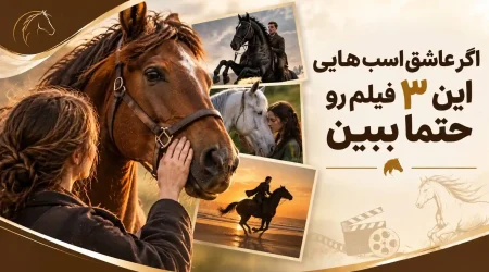 فیلم
